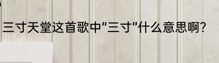 三寸天堂这首歌中“三寸”什么意思啊？
