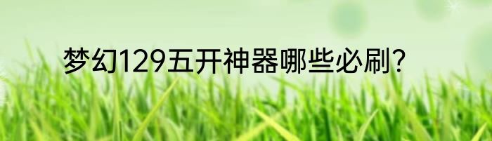 梦幻129五开神器哪些必刷？