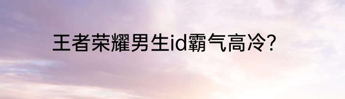 王者荣耀男生id霸气高冷？