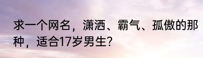 求一个网名，潇洒、霸气、孤傲的那种，适合17岁男生？