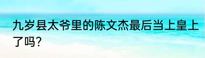 九岁县太爷里的陈文杰最后当上皇上了吗？
