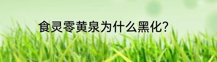 食灵零黄泉为什么黑化？