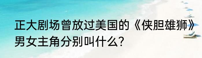 正大剧场曾放过美国的《侠胆雄狮》男女主角分别叫什么？