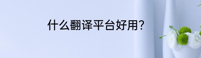 什么翻译平台好用？
