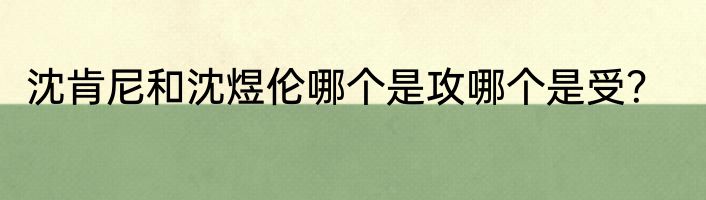 沈肯尼和沈煜伦哪个是攻哪个是受？