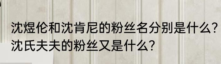 沈煜伦和沈肯尼的粉丝名分别是什么?沈氏夫夫的粉丝又是什么？