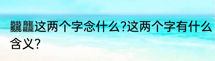 龖龘这两个字念什么?这两个字有什么含义？