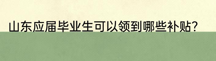 山东应届毕业生可以领到哪些补贴？