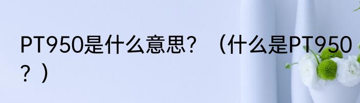 PT950是什么意思？（什么是PT950？）