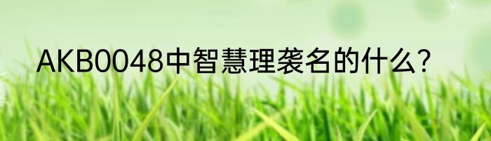 AKB0048中智慧理袭名的什么？