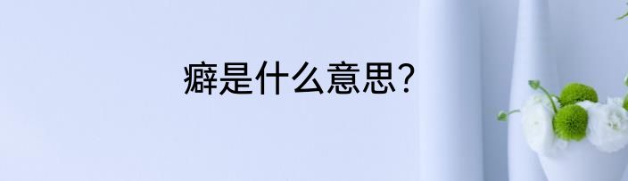 癖是什么意思？