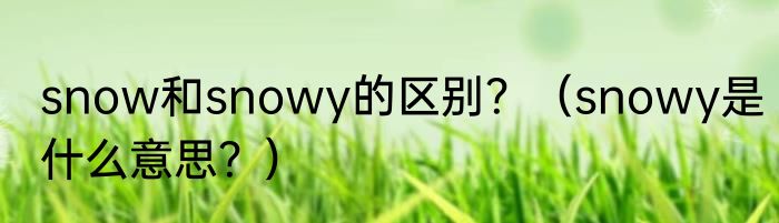 snow和snowy的区别？（snowy是什么意思？）