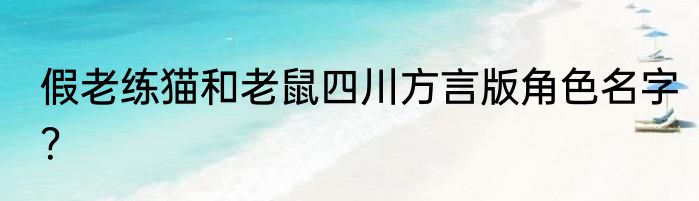 假老练猫和老鼠四川方言版角色名字？