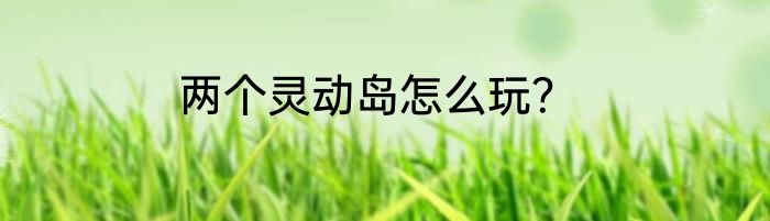 两个灵动岛怎么玩？