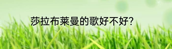 莎拉布莱曼的歌好不好？