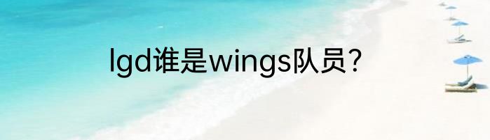 lgd谁是wings队员？