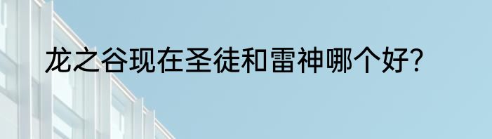 龙之谷现在圣徒和雷神哪个好？