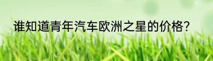 谁知道青年汽车欧洲之星的价格？