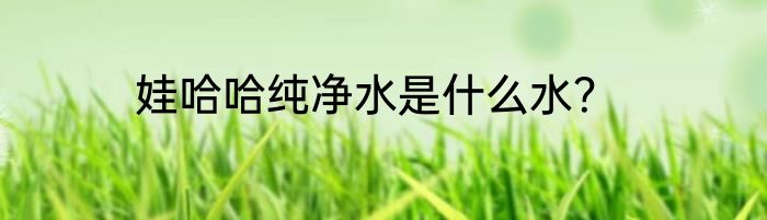 娃哈哈纯净水是什么水？