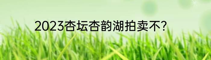 2023杏坛杏韵湖拍卖不？