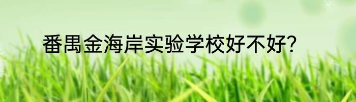 番禺金海岸实验学校好不好？