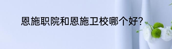 恩施职院和恩施卫校哪个好？