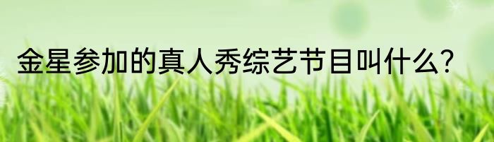 金星参加的真人秀综艺节目叫什么？