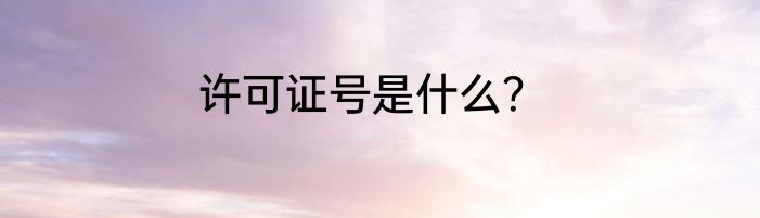 许可证号是什么？