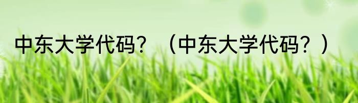 中东大学代码？（中东大学代码？）