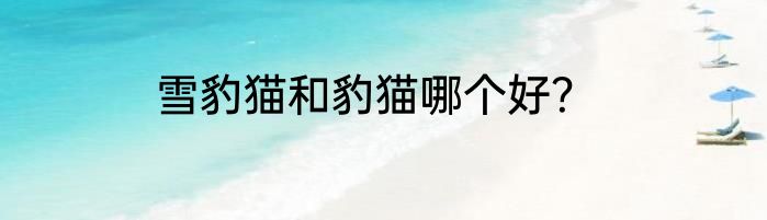 雪豹猫和豹猫哪个好？