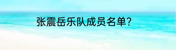 张震岳乐队成员名单？