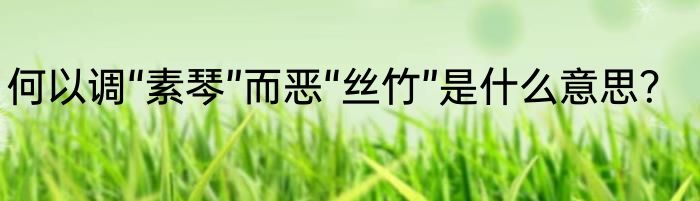 何以调“素琴”而恶“丝竹”是什么意思？