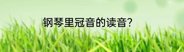 钢琴里冠音的读音？