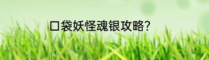 口袋妖怪魂银攻略？