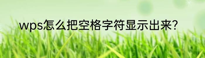 wps怎么把空格字符显示出来？