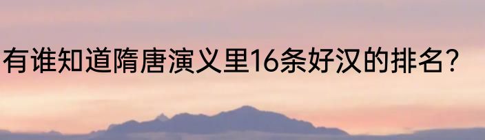 有谁知道隋唐演义里16条好汉的排名？