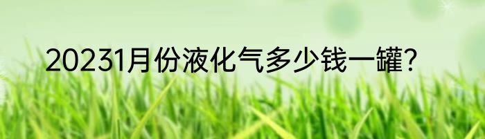 20231月份液化气多少钱一罐？