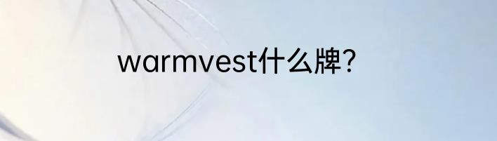 warmvest什么牌？