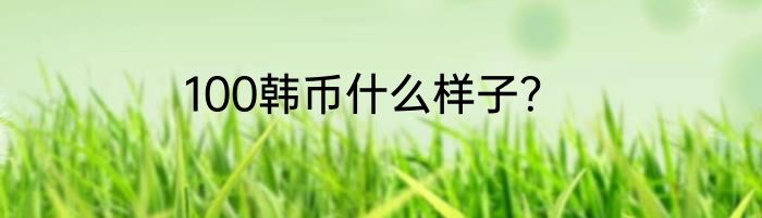 100韩币什么样子？