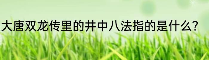 大唐双龙传里的井中八法指的是什么？