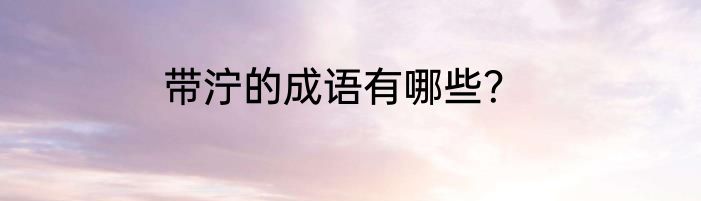 带泞的成语有哪些？