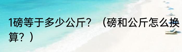 1磅等于多少公斤？（磅和公斤怎么换算？）