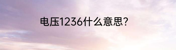电压1236什么意思？