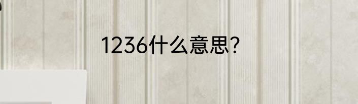 1236什么意思？