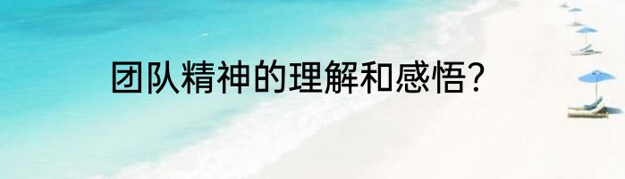 团队精神的理解和感悟？