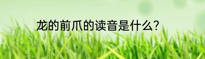 龙的前爪的读音是什么？