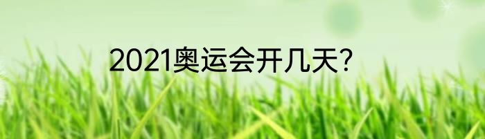 2021奥运会开几天？