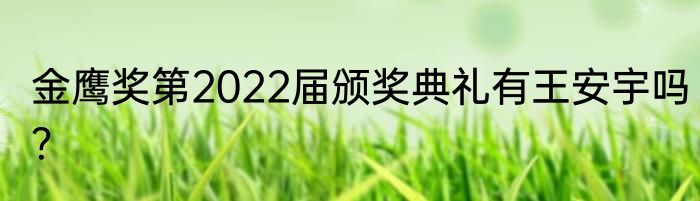 金鹰奖第2022届颁奖典礼有王安宇吗？