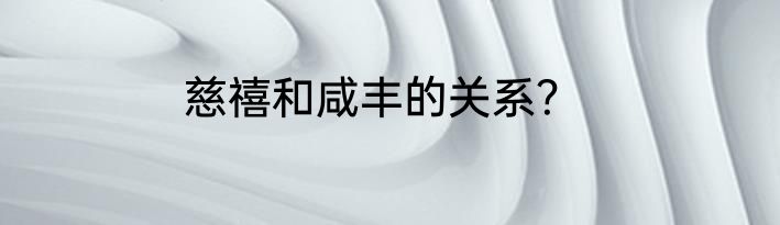 慈禧和咸丰的关系？