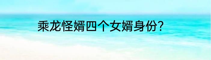乘龙怪婿四个女婿身份？